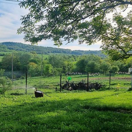 Вила "Намасте" С Панорамна Гледка И Камина На Дърва Lovetsj Buitenkant foto